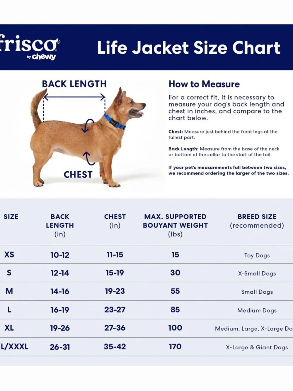 Blue Shark Dog Life Jacket with Handle - Safety Swim Vest